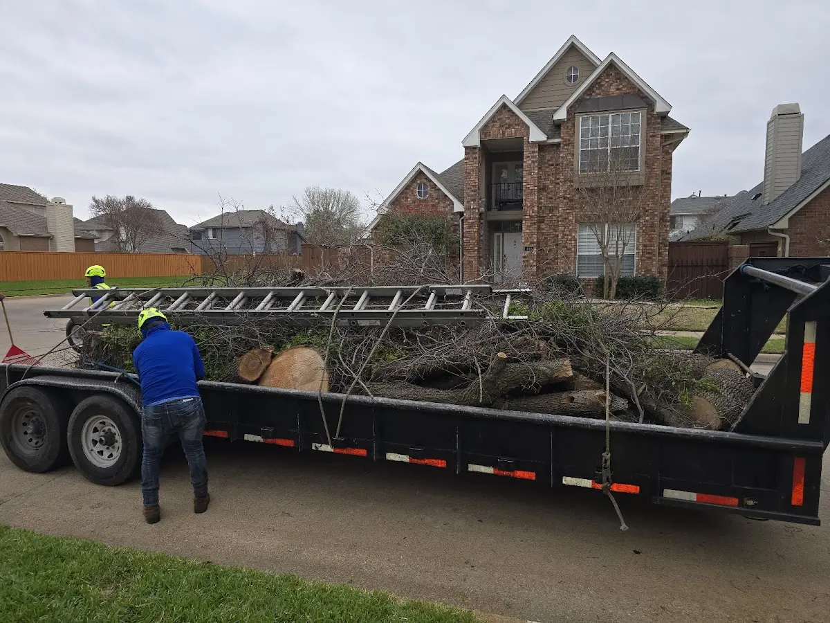 Expert Crown Reduction with proper safety equipment in Raceland